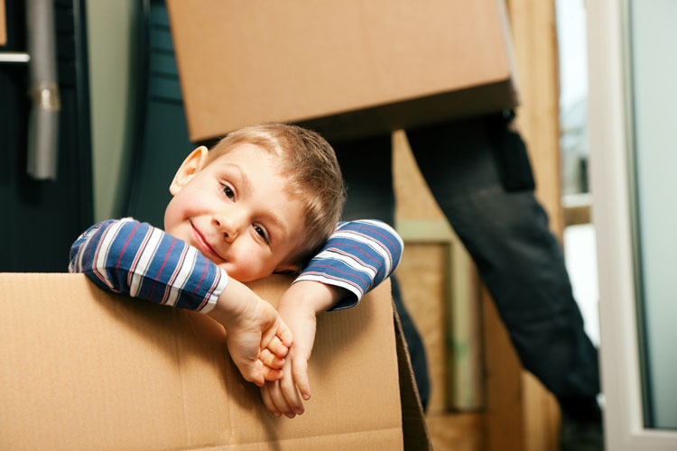 Customized Moving Plans